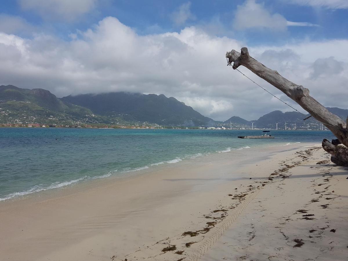 Fairy-Tern Chalets Cerf Island Buitenkant foto